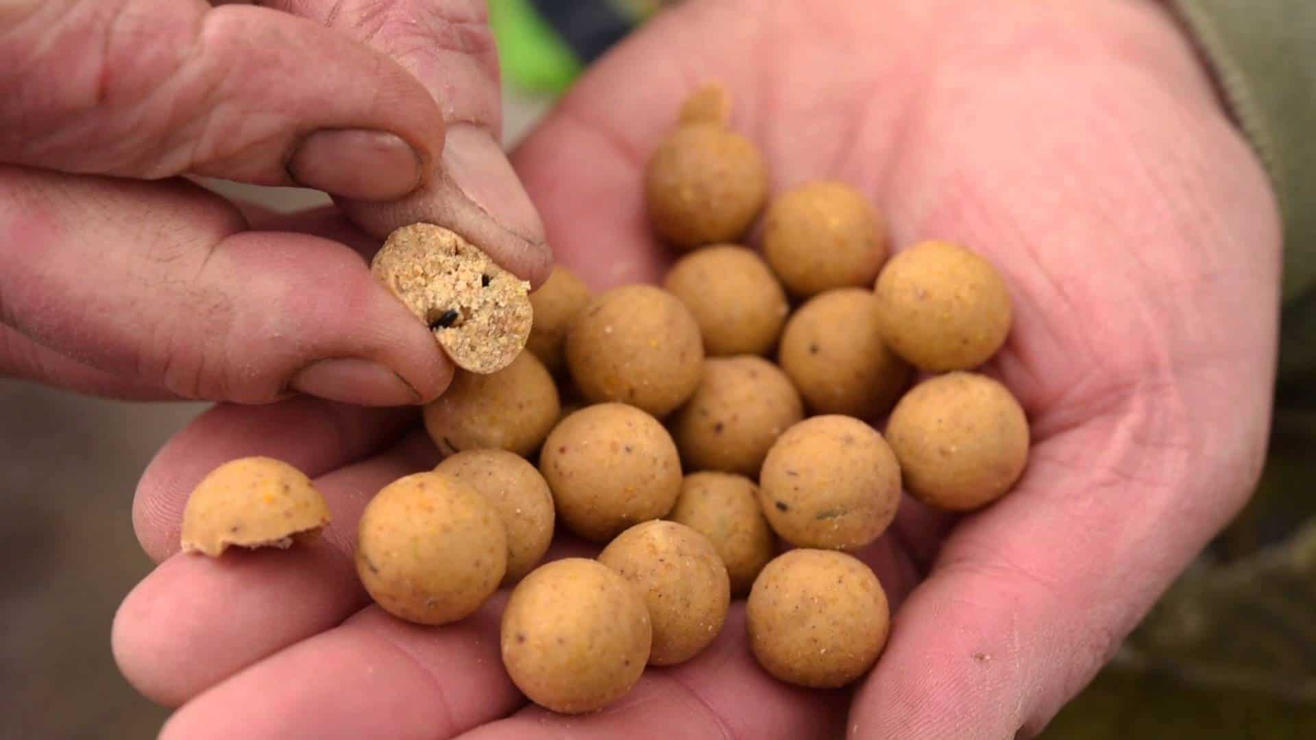 cc moore live system boilies